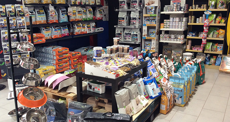 Galería de imágenes